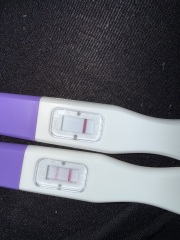 Am I pregnant?