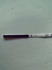 TWW feels like forever