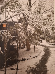 The Nigel Slater Christmas Chronicles Readalong 2025/6 Part 4