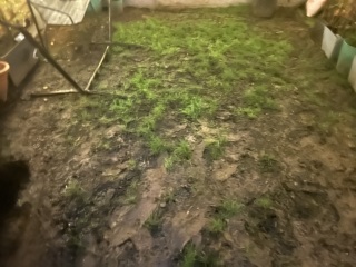 What have you done in the garden today? Part 7
