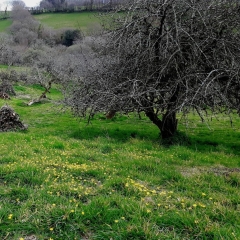 Thread 25 : To feel disappointed - and disgusted and vindicated now too - after reading this in The Observer about the author and her husband from The Salt Path book and film?