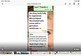 Pets4homes a trustworthy way to buy a puppy?