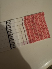 5DPO - Anybody want to join me in the gruelling TWW?