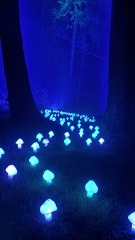 Daily Project Round 9