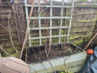 What have you done in the garden today? Part 7