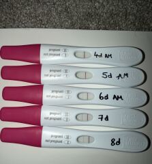 IVF - Test Line Progression - Chemical?