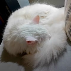 Mounjaro -10 stone or more to lose - Thread 11