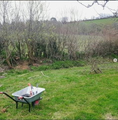 Thread 25 : To feel disappointed - and disgusted and vindicated now too - after reading this in The Observer about the author and her husband from The Salt Path book and film?