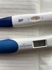 10dp5dt lines