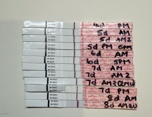 IVF - Test Line Progression - Chemical?