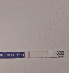 Are these positives or faulty tests?