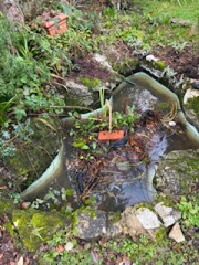 Garden pond - need maintenance/toddler safety advice