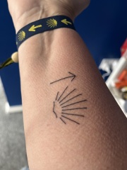 Thread 44 Starmer - Knolraap en lof, schorseneren en prei.