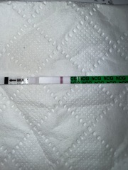 Very faint line on 3 of same test and 1 different