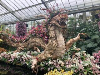 The Great Cancer Recovery part 5