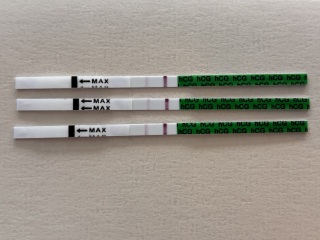 Digital v Clear and Simple - line progression