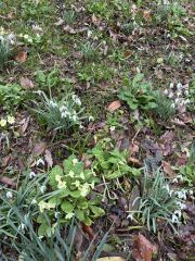 Year round Nigel Slater discussion thread - Part 3