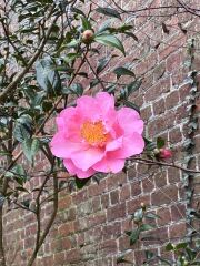 Year round Nigel Slater discussion thread - Part 3