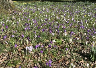 Year round Nigel Slater discussion thread - Part 3