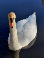 Thread 6? Good grief..what are you up to today if you have chronic illness?