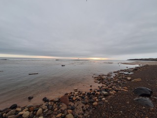 Year round Nigel Slater discussion thread - Part 3