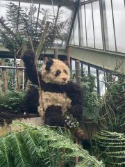 Come and tell us your dull and unexciting news 35: Calmly through the day