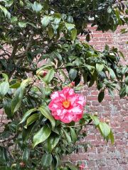 Year round Nigel Slater discussion thread - Part 3