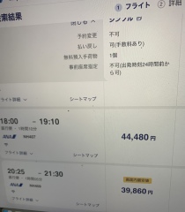 My big mistake with our Japan flight booking