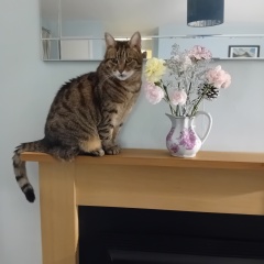 Mounjaro -10 stone or more to lose - Thread 11