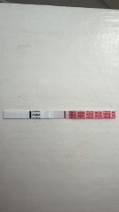 The Hopeful Hearts Circle 1  - December 2025🎄💖