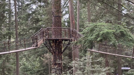 Come and tell us your dull and unexciting news 35: Calmly through the day