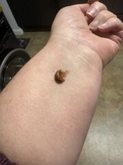 Beauty chat - freebies/gifts with purchase/offers THREAD TEN