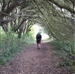 Thread 25 : To feel disappointed - and disgusted and vindicated now too - after reading this in The Observer about the author and her husband from The Salt Path book and film?