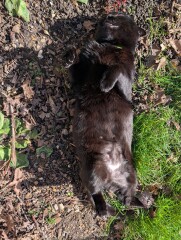 The 2026 Gardening Programme Thread