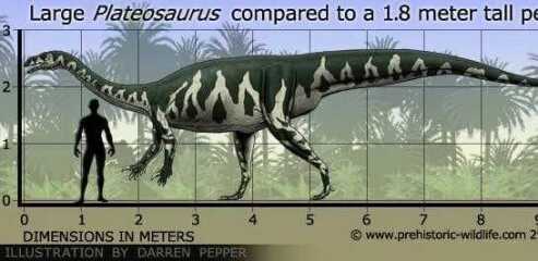 Please identify this dinosaur