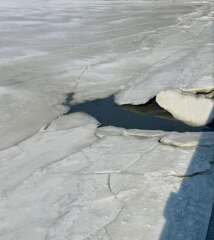 Come and tell us your dull and unexciting news 35: Calmly through the day