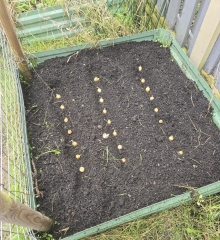 What have you done in the garden today? Part 7