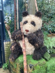 Join us in the Goose and Carrot Pub thread.