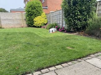 Advice for planning borders/my garden (with pics)