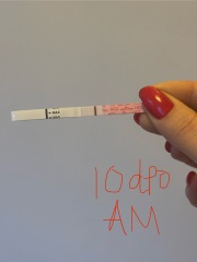 Easy@Home indents or evaps?