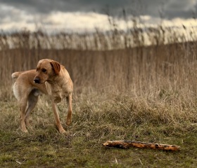 To ask your opinion of these photos?