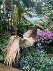 The Great Cancer Recovery part 5