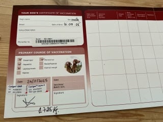 Pets4homes a trustworthy way to buy a puppy?