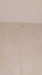 Black mould in hotel room. Pic attached.