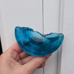 What have you done in the garden today? Part 7