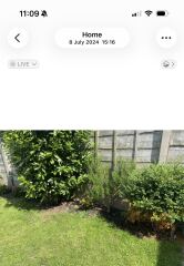 Advice for planning borders/my garden (with pics)