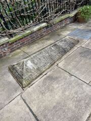 My year with Stella...