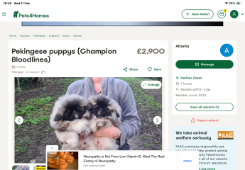 Pets4homes a trustworthy way to buy a puppy?