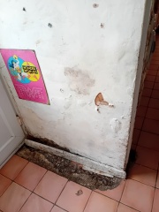 Damp? Cause? Costly to fix?