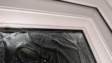 Black mould in hotel room. Pic attached.